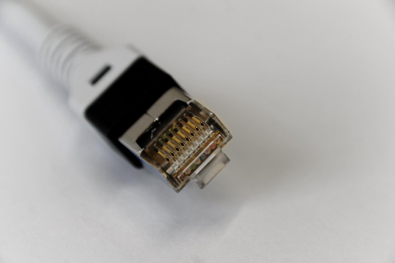 Home Ethernet connector close up